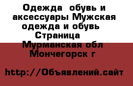 Одежда, обувь и аксессуары Мужская одежда и обувь - Страница 3 . Мурманская обл.,Мончегорск г.